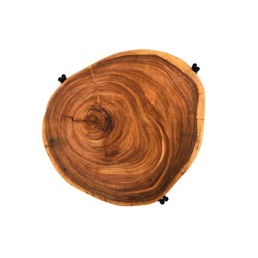 Kalos Ellipse Coffee Table