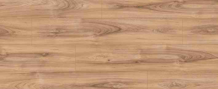 Teak Teak India