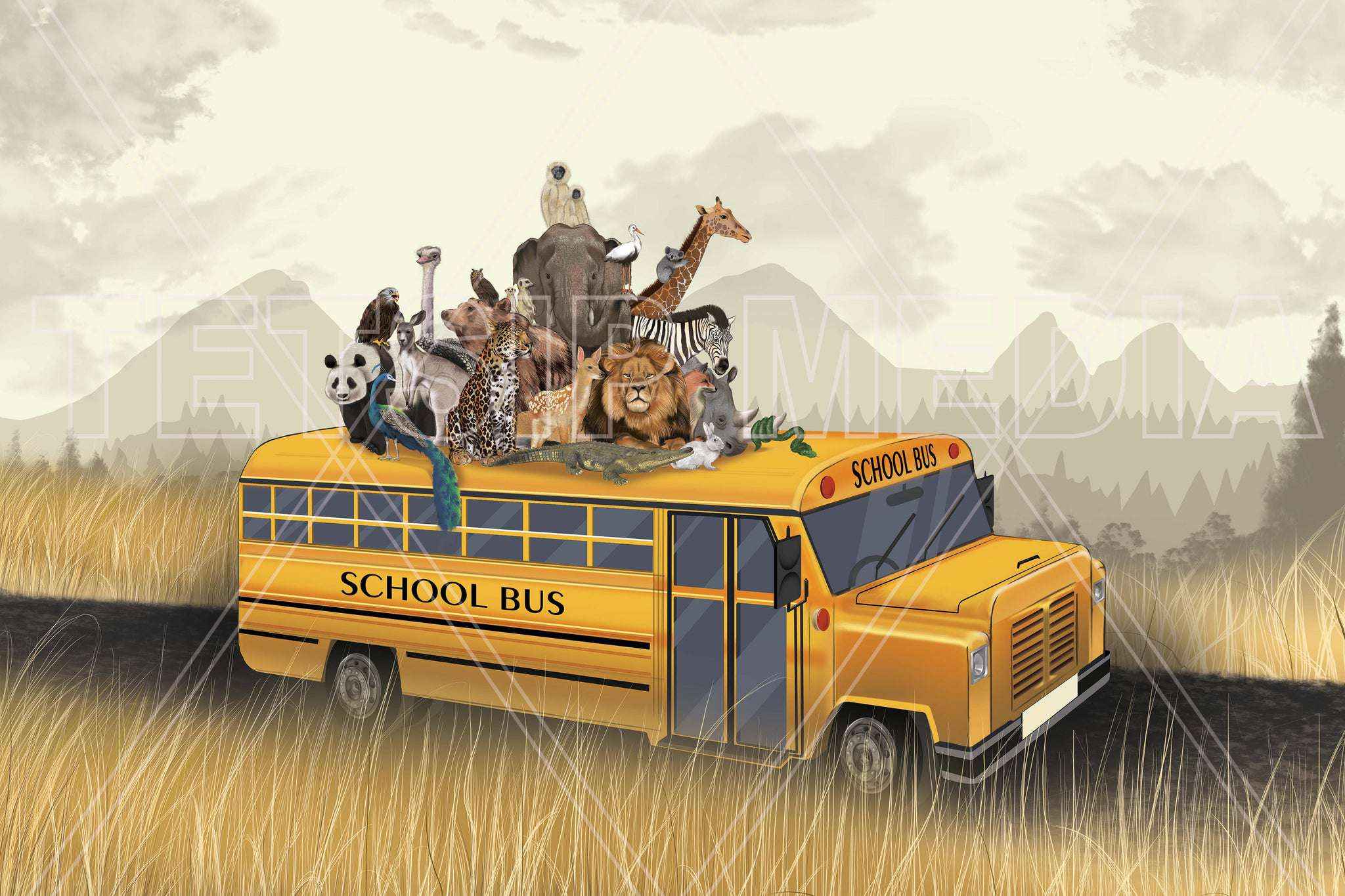 School Bus