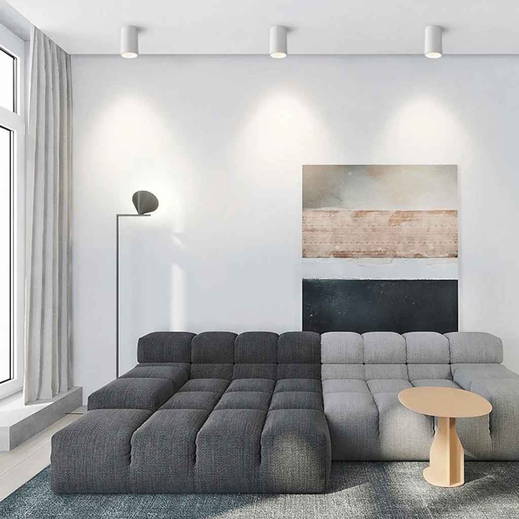 Surface Mounted Downlight COB Light