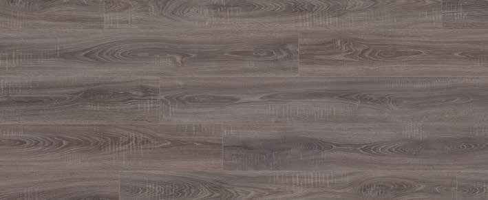 Teak Teak India