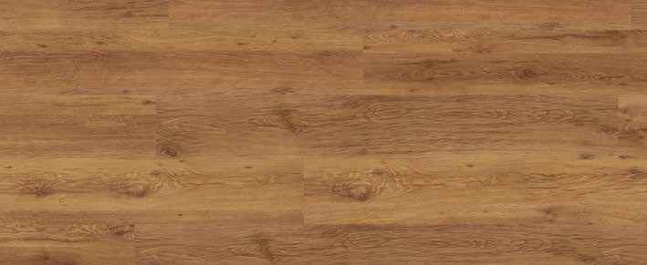 Teak Teak India