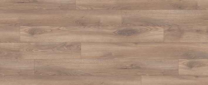 Teak Teak India