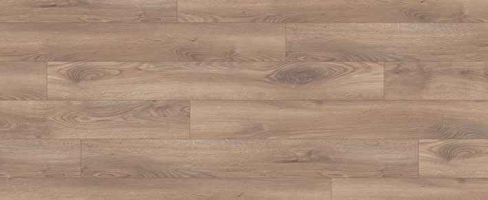 Eiche Oak Evoke Concrete