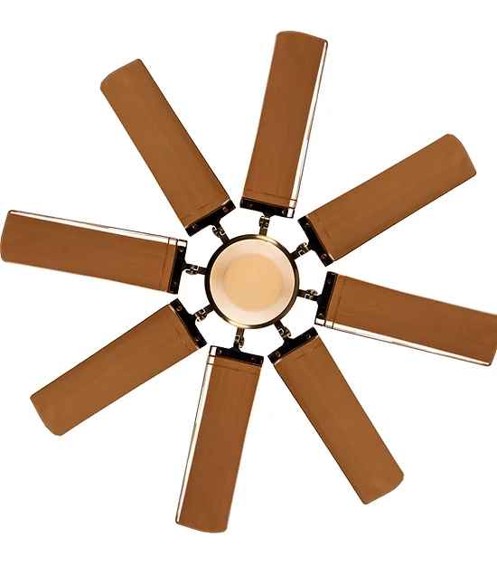 Acorn designer Fan