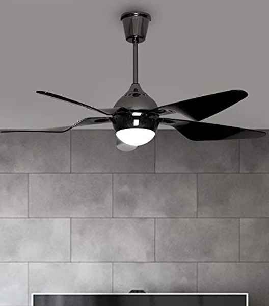 Iroko Black Designer ceiling fan 