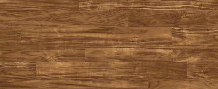 Teak Teak India