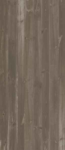 Teak Teak India