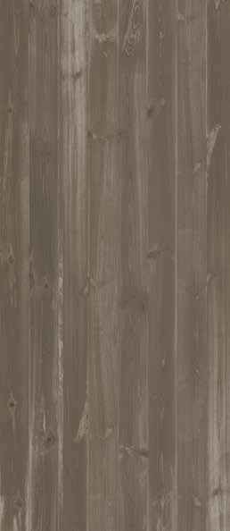 Oak Umber