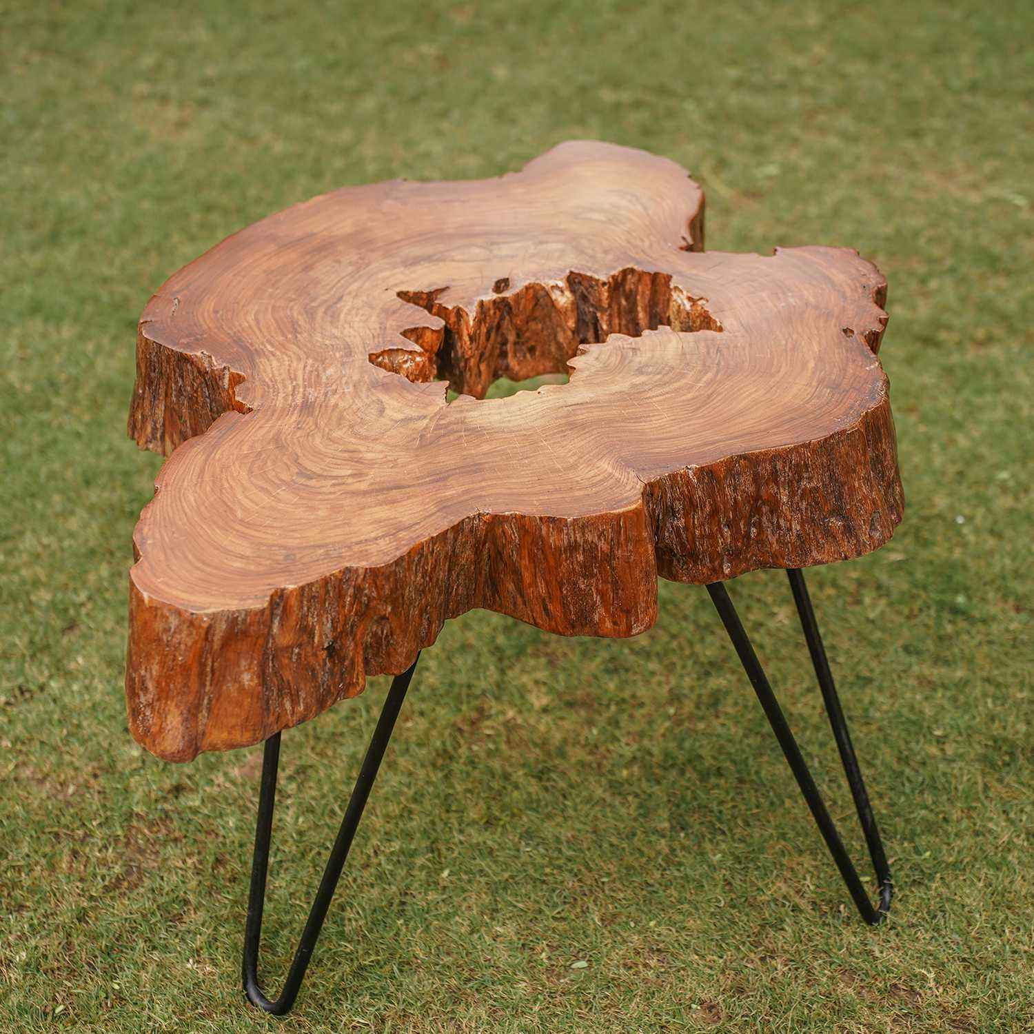 Log Lamp