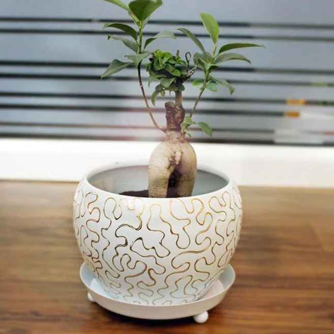 Metal Hanging Planter with Jute Rope