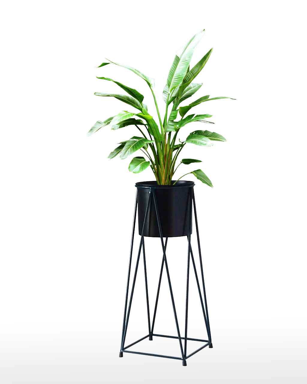 Metal Floor Planters - Black & Brass