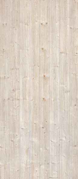 Teak Teak India
