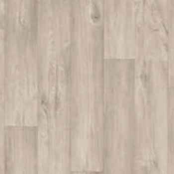 Teak Teak India