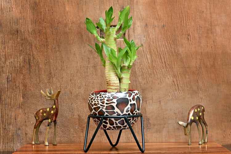 Peacock Feather Metal Planter