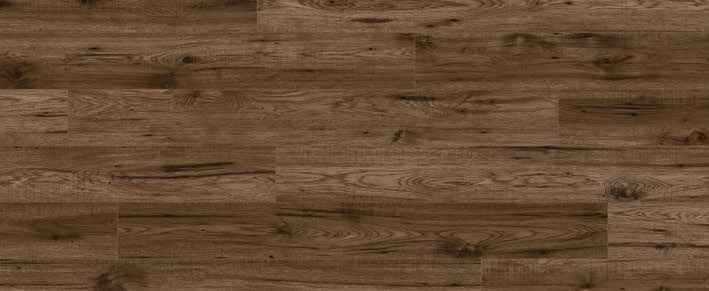 Teak Teak India