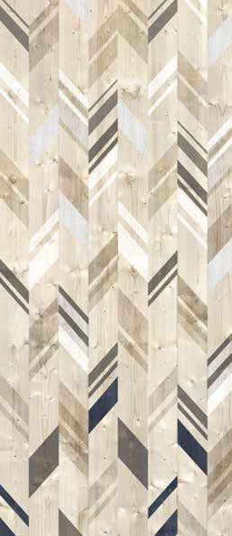 Teak Teak India