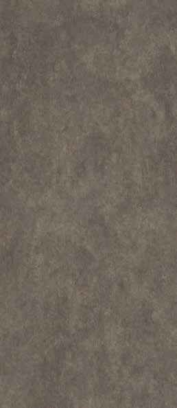 Teak Teak India