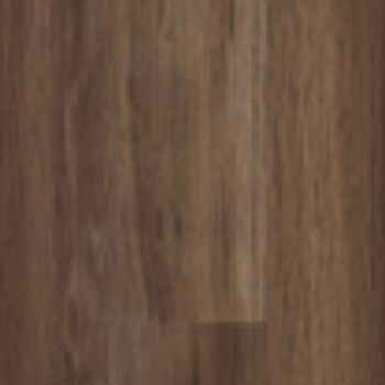 Teak Teak India