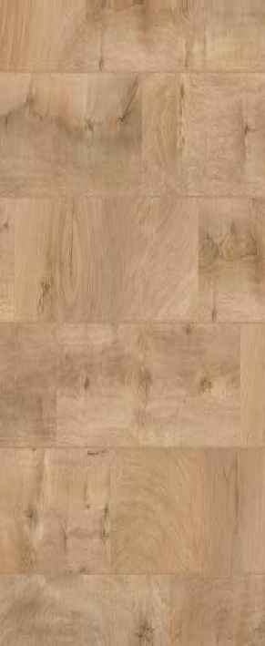 Teak Teak India
