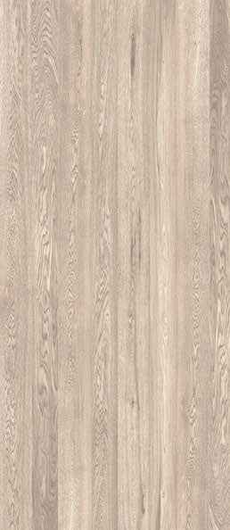 Teak Teak India