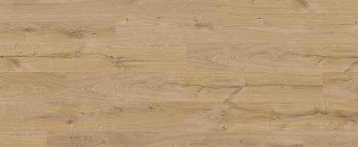 Oak Umber