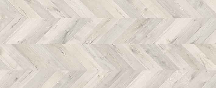 Teak Teak India