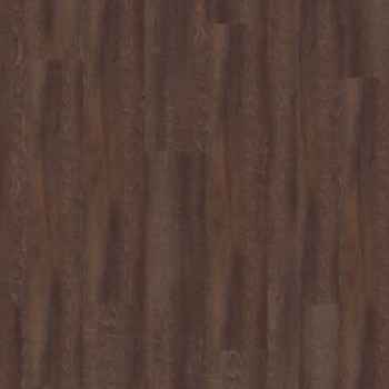 Teak Teak India