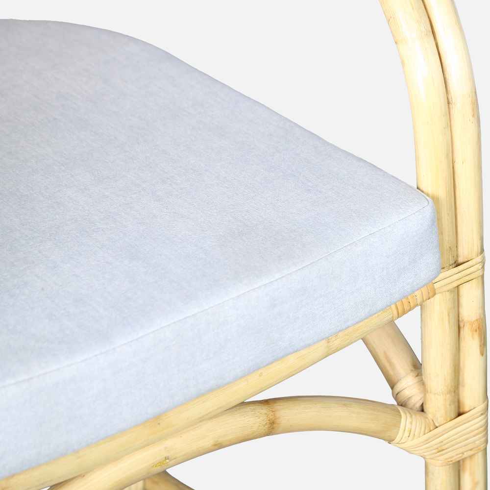 Nature's Embrace Cane Armchair