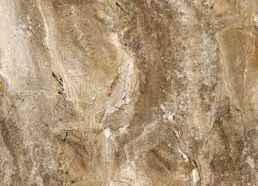 Marble Brown