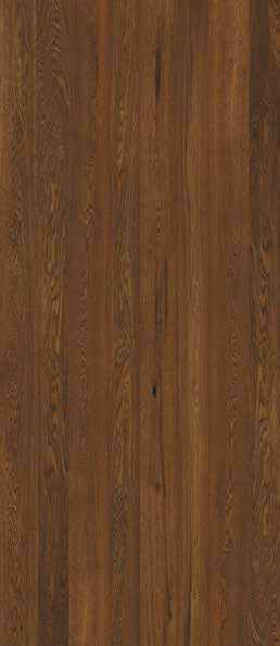 Oak Umber