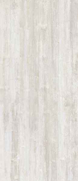 Teak Teak India