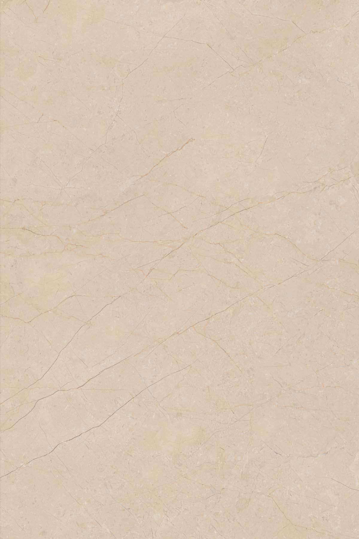 Delice Beige