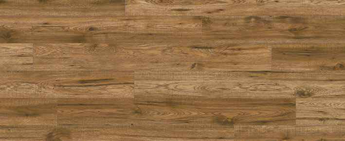 Teak Teak India