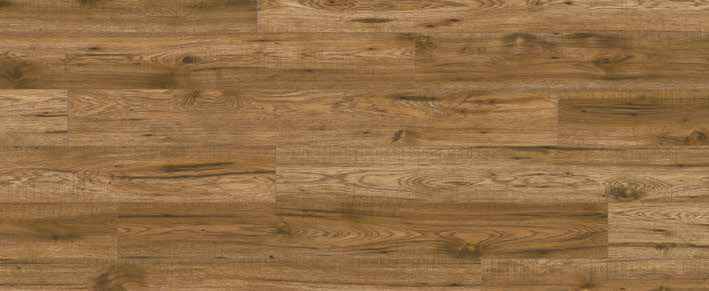 Oak Umber