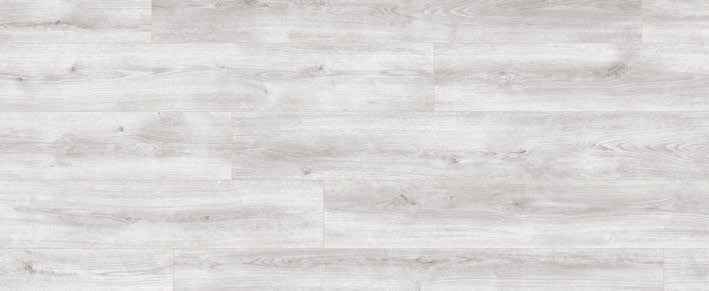 Teak Teak India