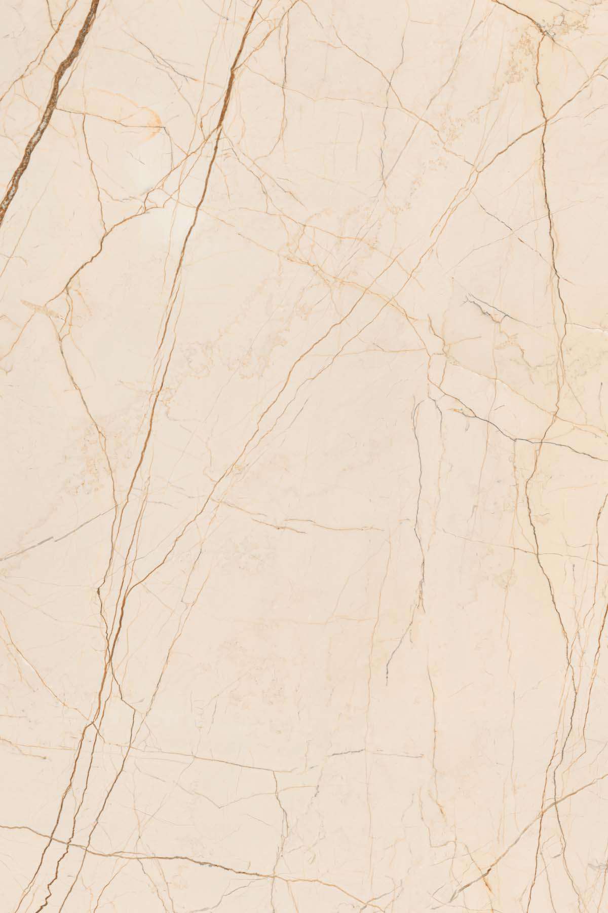 Delice Beige