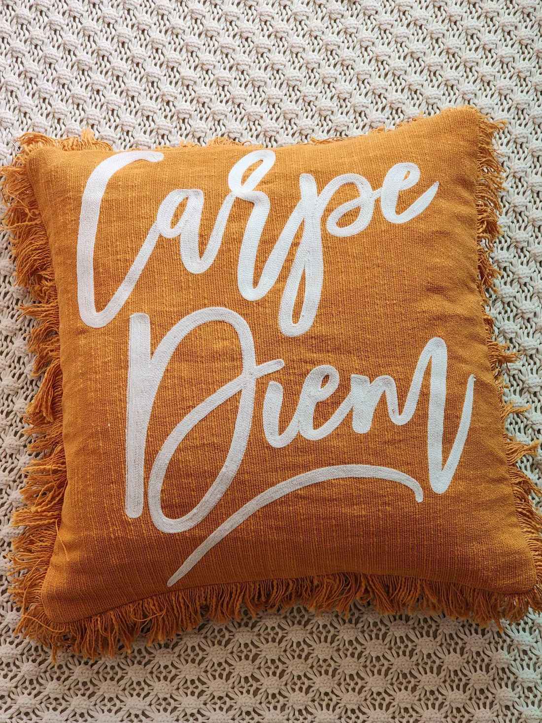 Carpe Diem Pillow