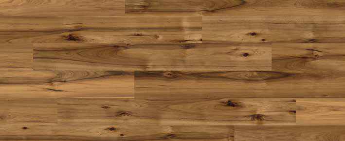 Teak Teak India
