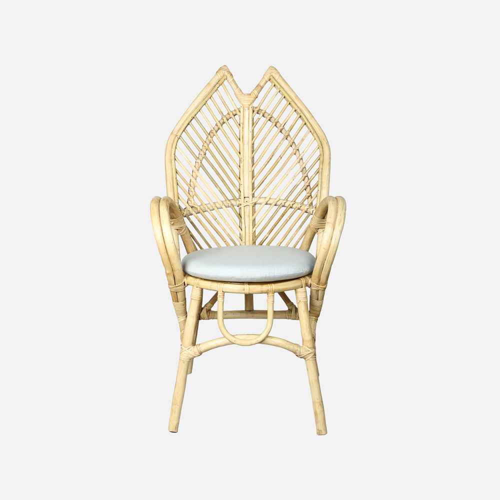 Dyuthi Rattan Chair-Weathered French Grey-
