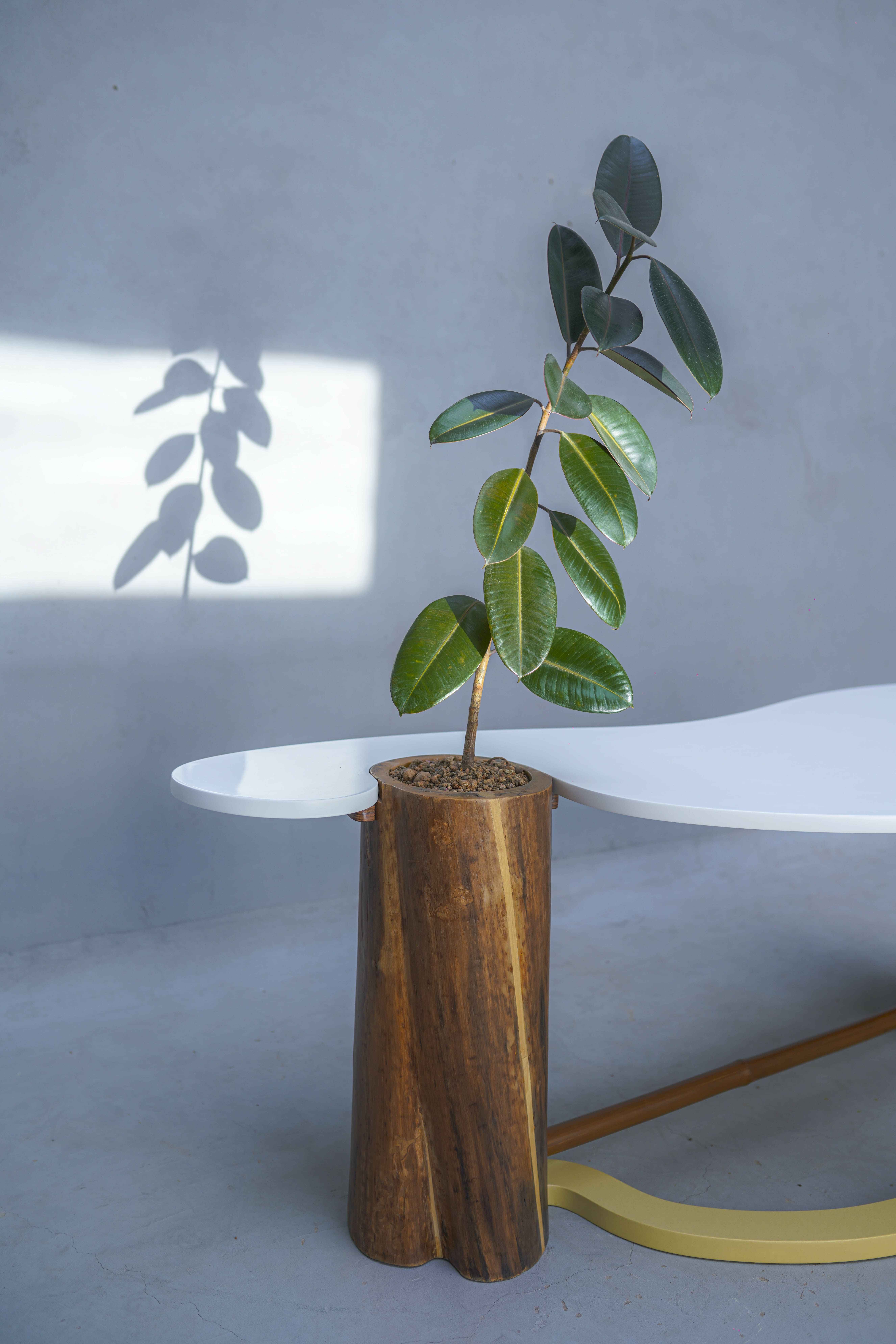Canti Table