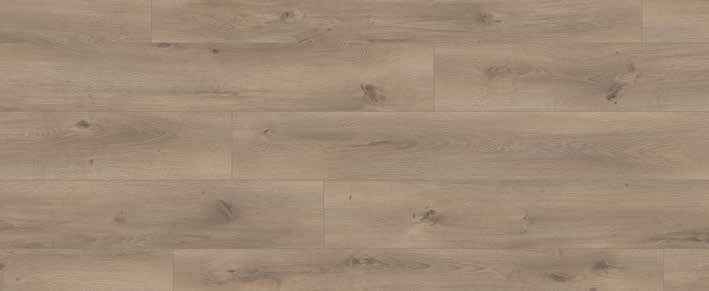 Travertine Lappato Cream