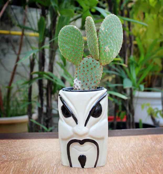 Unique Law Bookend