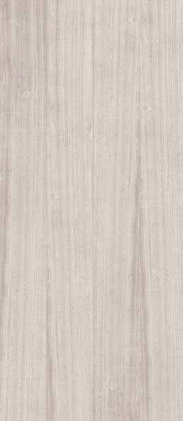 Teak Teak India