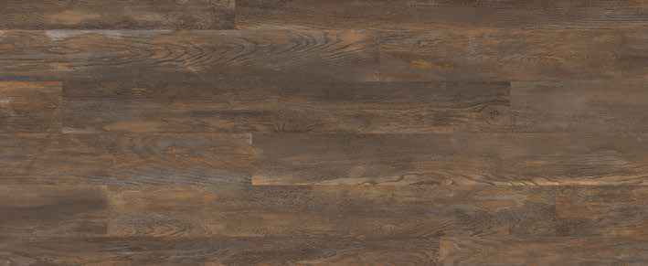 Teak Teak India