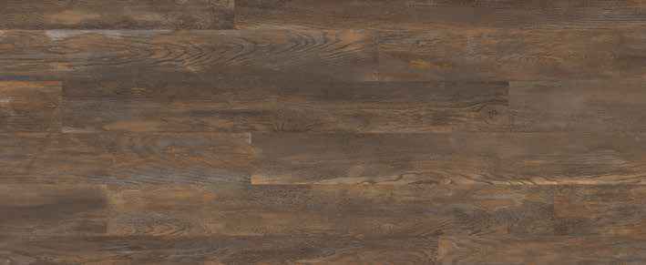 Oak Umber