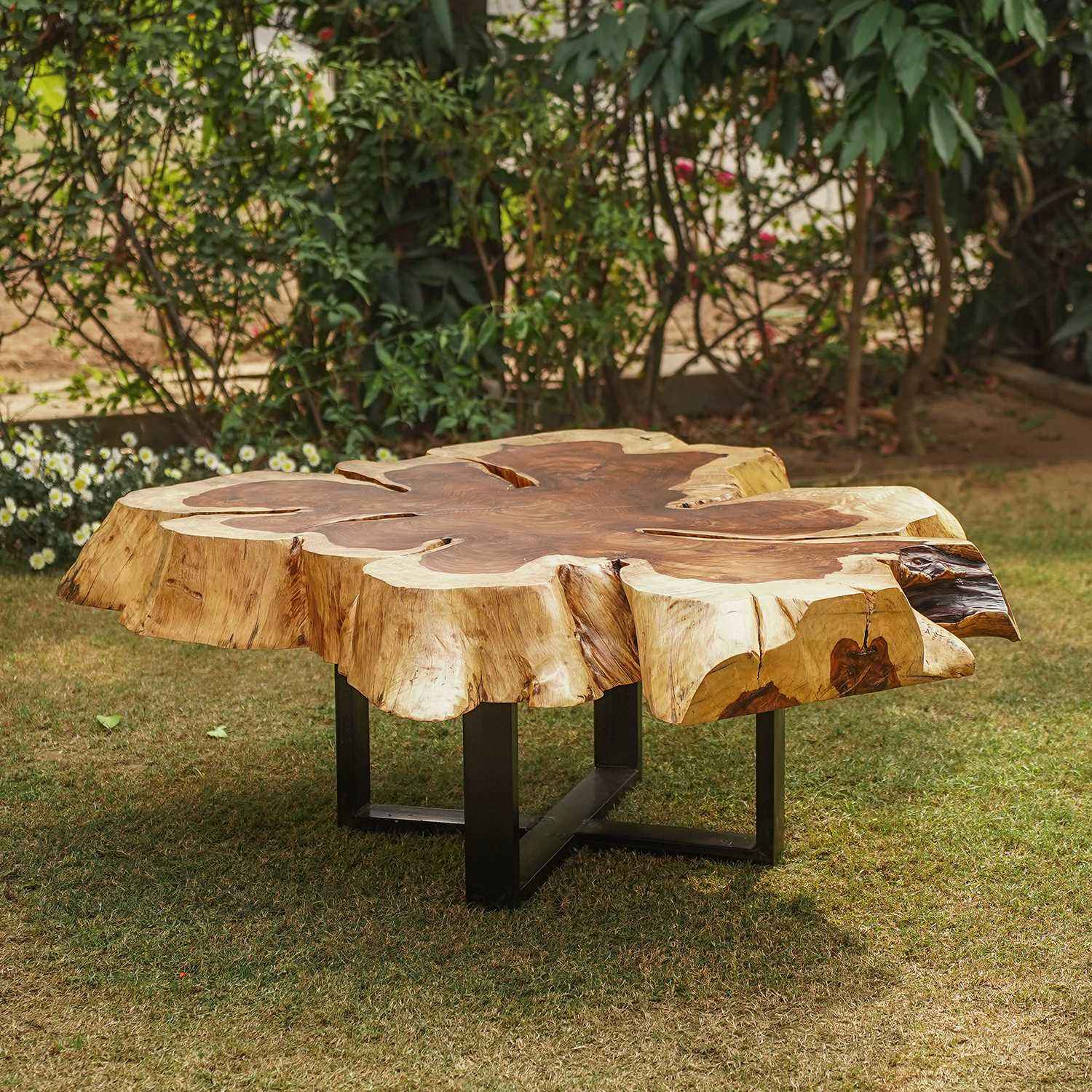 Rustic Sheesham Log Center Table