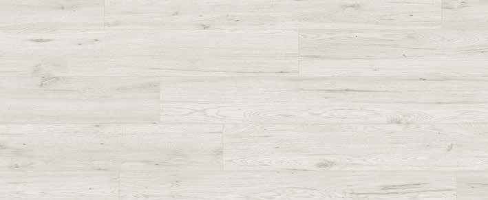 Teak Teak India