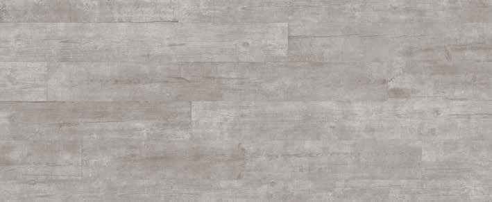 Teak Teak India
