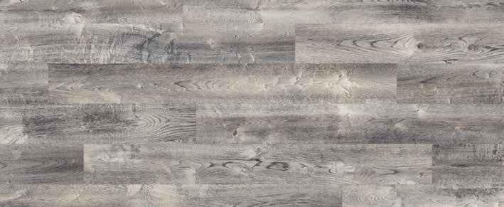 Eiche Oak Evoke Concrete